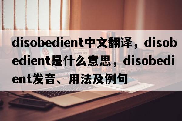 disobedient中文翻譯，disobedient是什么意思，disobedient發(fā)音、用法及例句