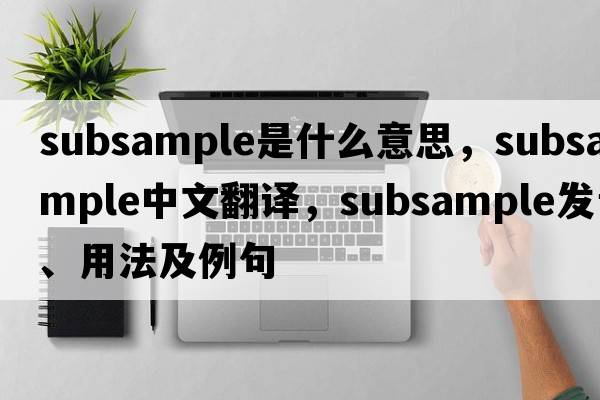subsample是什么意思，subsample中文翻譯，subsample發(fā)音、用法及例句