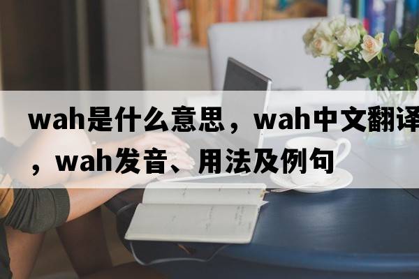 wah是什么意思，wah中文翻譯，wah發(fā)音、用法及例句