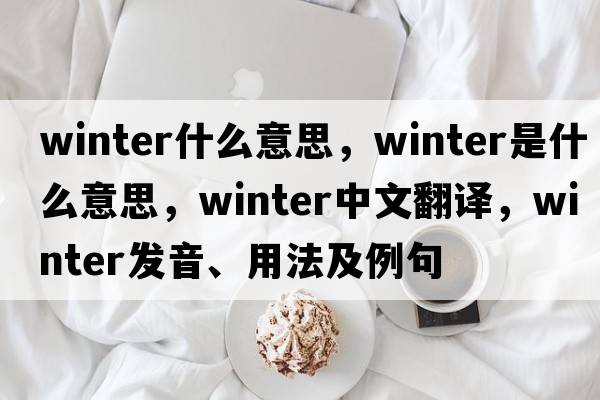 winter什么意思，winter是什么意思，winter中文翻譯，winter發(fā)音、用法及例句