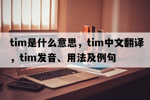 tim是什么意思，tim中文翻譯，tim發(fā)音、用法及例句
