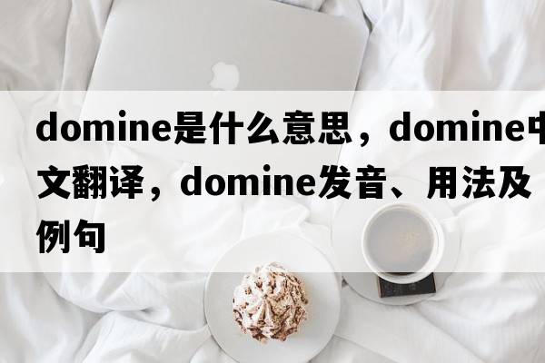 domine是什么意思，domine中文翻譯，domine發(fā)音、用法及例句