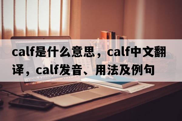 calf是什么意思，calf中文翻譯，calf發(fā)音、用法及例句