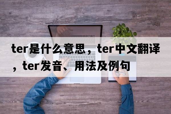 ter是什么意思，ter中文翻譯，ter發(fā)音、用法及例句