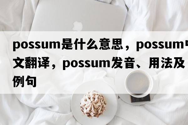 possum是什么意思，possum中文翻譯，possum發(fā)音、用法及例句