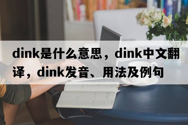 dink是什么意思，dink中文翻譯，dink發(fā)音、用法及例句