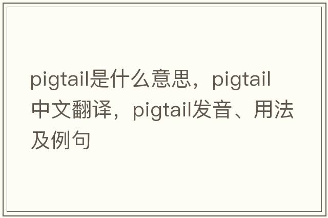 pigtail是什么意思，pigtail中文翻譯，pigtail發(fā)音、用法及例句