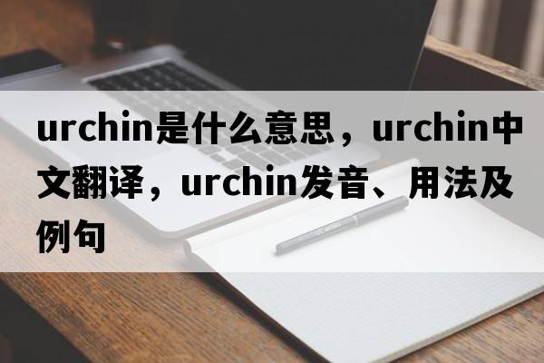 urchin是什么意思，urchin中文翻譯，urchin發(fā)音、用法及例句