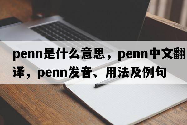 penn是什么意思，penn中文翻譯，penn發(fā)音、用法及例句
