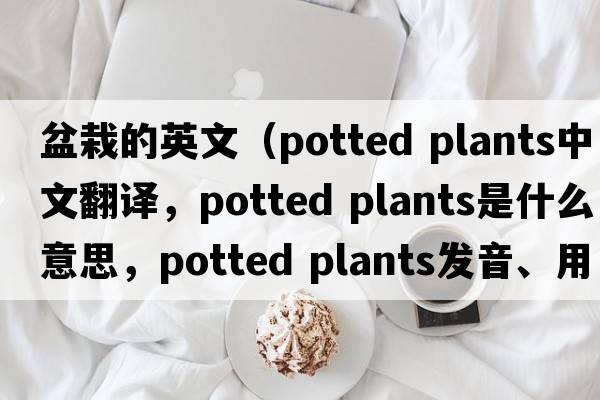 盆栽的英文（potted plants中文翻譯，potted plants是什么意思，potted plants發(fā)音、用法及例句）