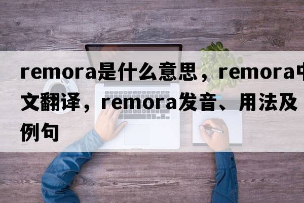 remora是什么意思，remora中文翻譯，remora發(fā)音、用法及例句
