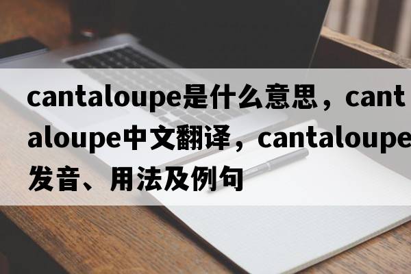 cantaloupe是什么意思，cantaloupe中文翻譯，cantaloupe發(fā)音、用法及例句