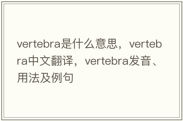 vertebra是什么意思，vertebra中文翻譯，vertebra發(fā)音、用法及例句