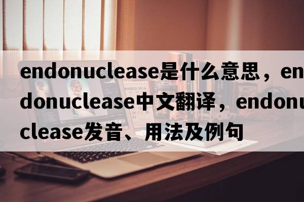 endonuclease是什么意思，endonuclease中文翻譯，endonuclease發(fā)音、用法及例句