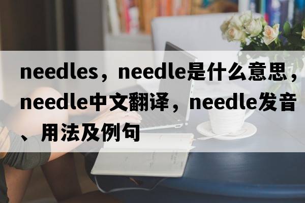 needles，needle是什么意思，needle中文翻譯，needle發(fā)音、用法及例句
