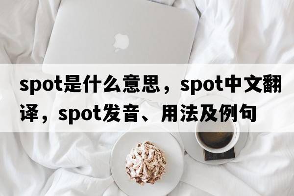 spot是什么意思，spot中文翻譯，spot發(fā)音、用法及例句
