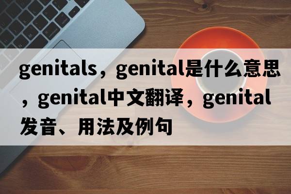 genitals，genital是什么意思，genital中文翻譯，genital發(fā)音、用法及例句