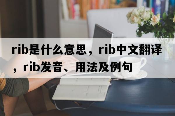 rib是什么意思，rib中文翻譯，rib發(fā)音、用法及例句