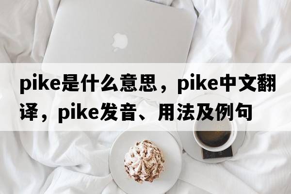 pike是什么意思，pike中文翻譯，pike發(fā)音、用法及例句
