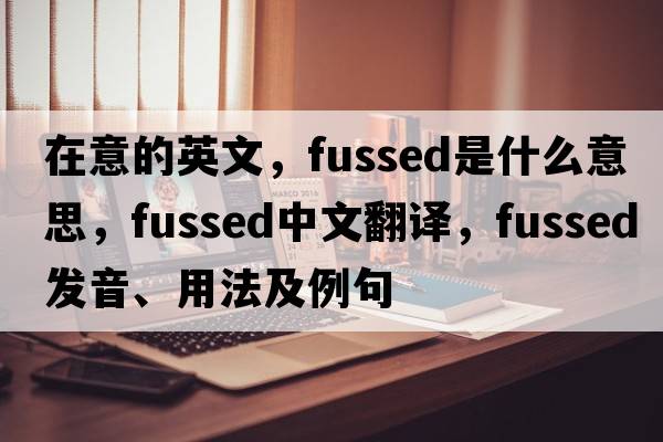 在意的英文，fussed是什么意思，fussed中文翻譯，fussed發(fā)音、用法及例句