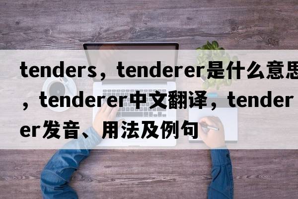 tenders，tenderer是什么意思，tenderer中文翻譯，tenderer發(fā)音、用法及例句