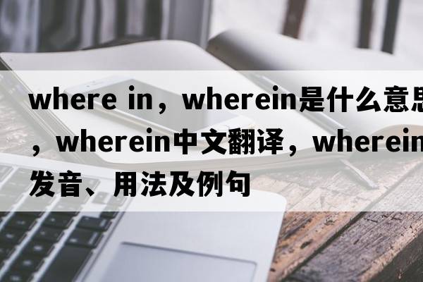 where in，wherein是什么意思，wherein中文翻譯，wherein發(fā)音、用法及例句