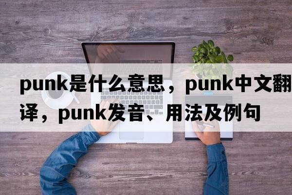 punk是什么意思，punk中文翻譯，punk發(fā)音、用法及例句