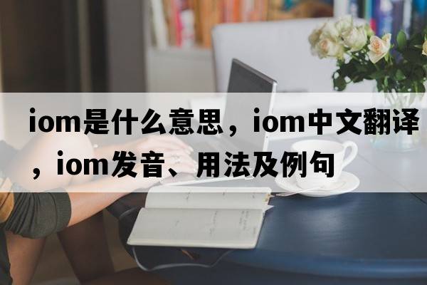 IOM是什么意思，IOM中文翻譯，IOM發(fā)音、用法及例句