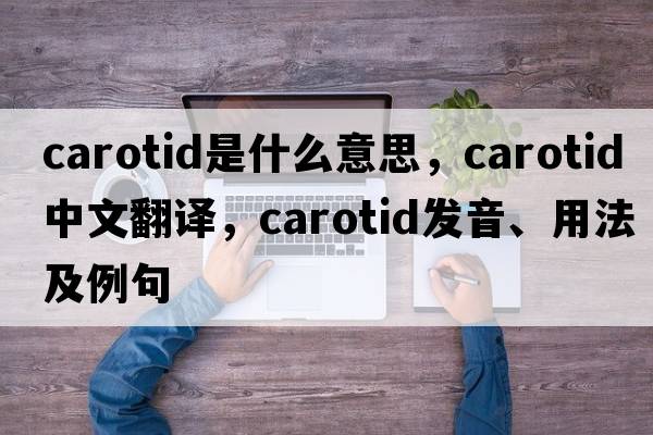 carotid是什么意思，carotid中文翻譯，carotid發(fā)音、用法及例句