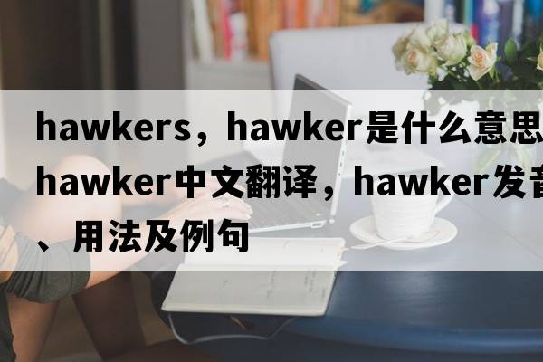 hawkers，hawker是什么意思，hawker中文翻譯，hawker發(fā)音、用法及例句