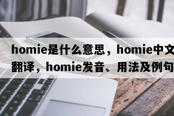 homie是什么意思，homie中文翻譯，homie發(fā)音、用法及例句