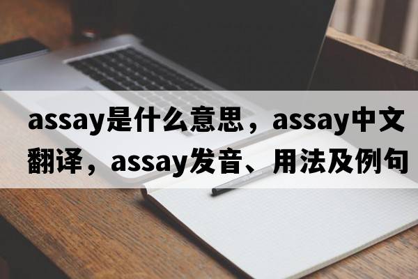 assay是什么意思，assay中文翻譯，assay發(fā)音、用法及例句