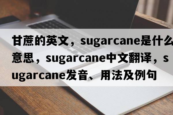 甘蔗的英文，sugarcane是什么意思，sugarcane中文翻譯，sugarcane發(fā)音、用法及例句