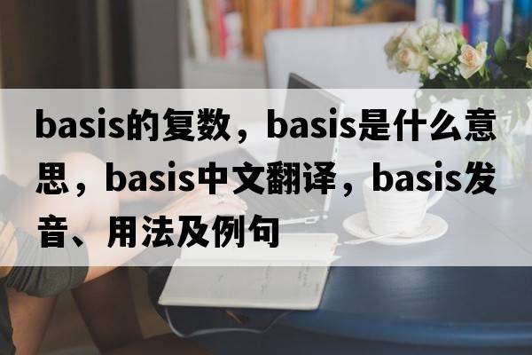 basis的復數，basis是什么意思，basis中文翻譯，basis發(fā)音、用法及例句