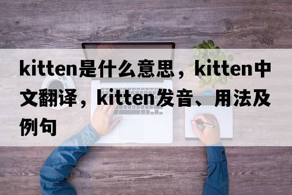 kitten是什么意思，kitten中文翻譯，kitten發(fā)音、用法及例句