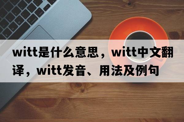 witt是什么意思，witt中文翻譯，witt發(fā)音、用法及例句