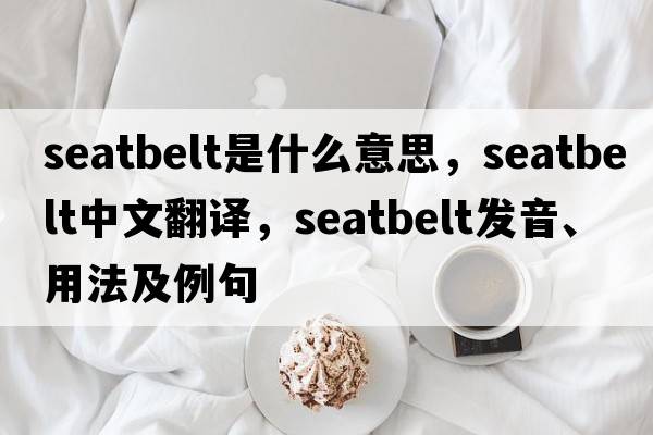 seatbelt是什么意思，seatbelt中文翻譯，seatbelt發(fā)音、用法及例句