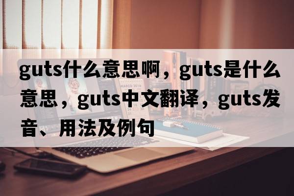 guts什么意思啊，guts是什么意思，guts中文翻譯，guts發(fā)音、用法及例句