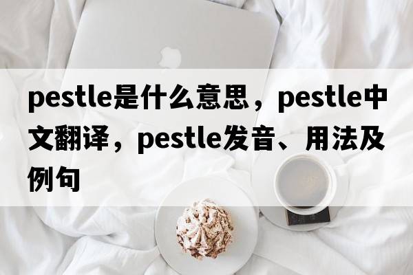 pestle是什么意思，pestle中文翻譯，pestle發(fā)音、用法及例句