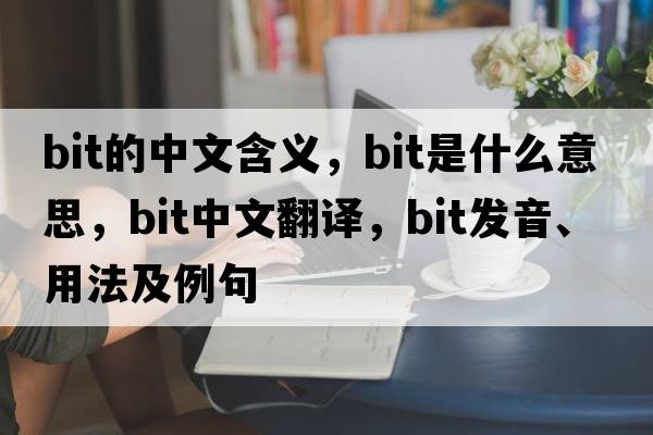 bit的中文含義，bit是什么意思，bit中文翻譯，bit發(fā)音、用法及例句