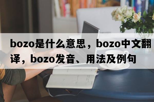 bozo是什么意思，bozo中文翻譯，bozo發(fā)音、用法及例句