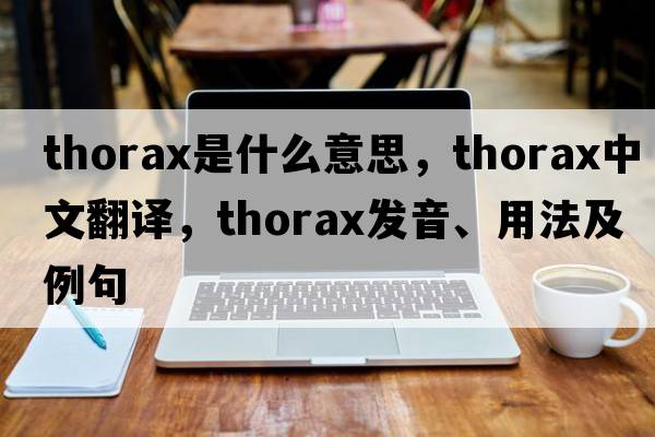 thorax是什么意思，thorax中文翻譯，thorax發(fā)音、用法及例句