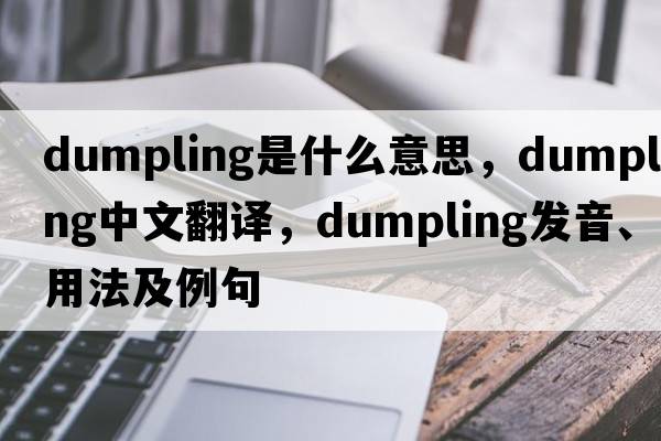 dumpling是什么意思，dumpling中文翻譯，dumpling發(fā)音、用法及例句