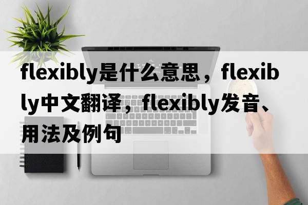 flexibly是什么意思，flexibly中文翻譯，flexibly發(fā)音、用法及例句