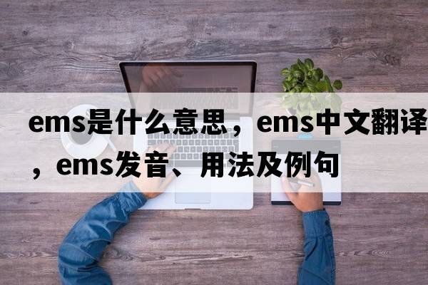 EMS是什么意思，EMS中文翻譯，EMS發(fā)音、用法及例句
