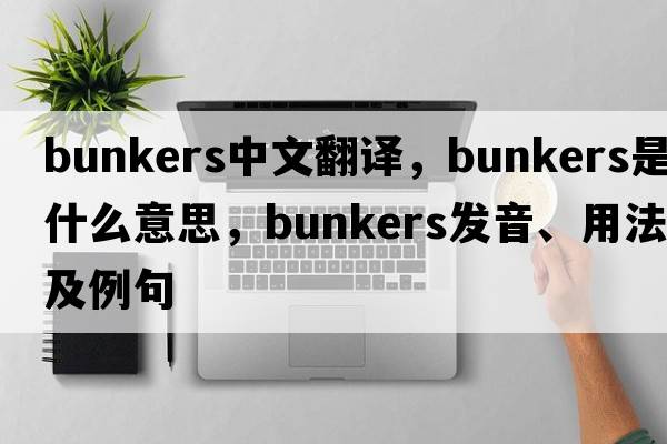 bunkers中文翻譯，bunkers是什么意思，bunkers發(fā)音、用法及例句