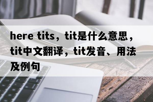 here tits，tit是什么意思，tit中文翻譯，tit發(fā)音、用法及例句
