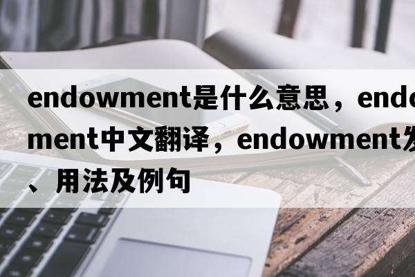 endowment是什么意思，endowment中文翻譯，endowment發(fā)音、用法及例句