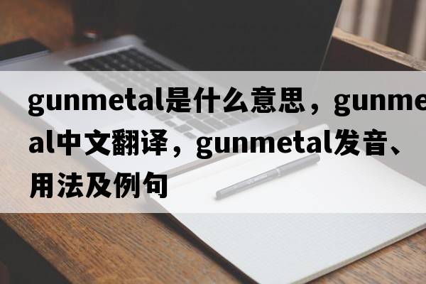 gunmetal是什么意思，gunmetal中文翻譯，gunmetal發(fā)音、用法及例句