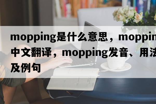 mopping是什么意思，mopping中文翻譯，mopping發(fā)音、用法及例句